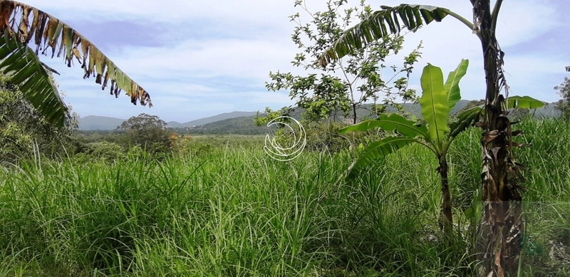 Terreno à venda em Santo Antônio De Lisboa, Florianópolis: 31ª foto da galeria de imagens do imóvel