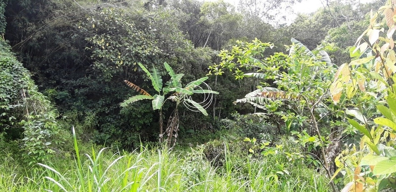 Terreno à venda em Santo Antônio De Lisboa, Florianópolis: 23ª foto da galeria de imagens do imóvel