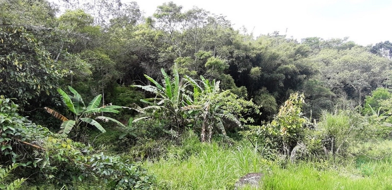 Terreno à venda em Santo Antônio De Lisboa, Florianópolis: 26ª foto da galeria de imagens do imóvel