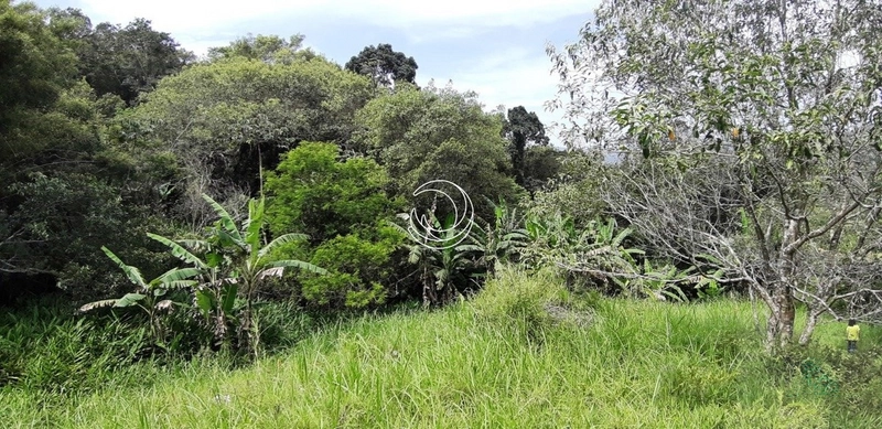 Terreno à venda em Santo Antônio De Lisboa, Florianópolis: 19ª foto da galeria de imagens do imóvel