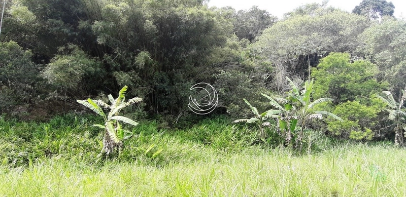 Terreno à venda em Santo Antônio De Lisboa, Florianópolis: 30ª foto da galeria de imagens do imóvel
