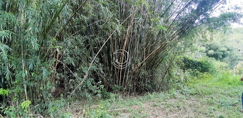 Terreno à venda em Santo Antônio De Lisboa, Florianópolis: 18ª foto da galeria de imagens do imóvel