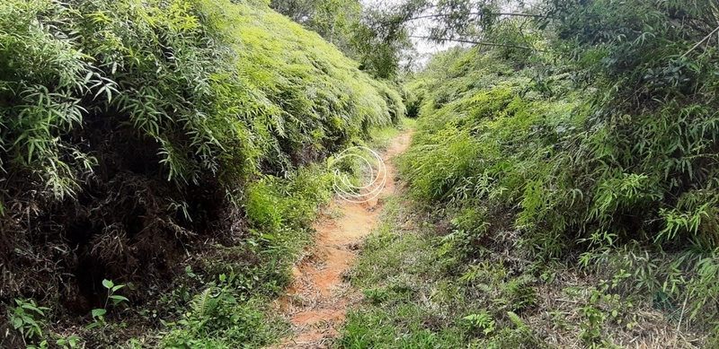 Terreno à venda em Santo Antônio De Lisboa, Florianópolis: 17ª foto da galeria de imagens do imóvel