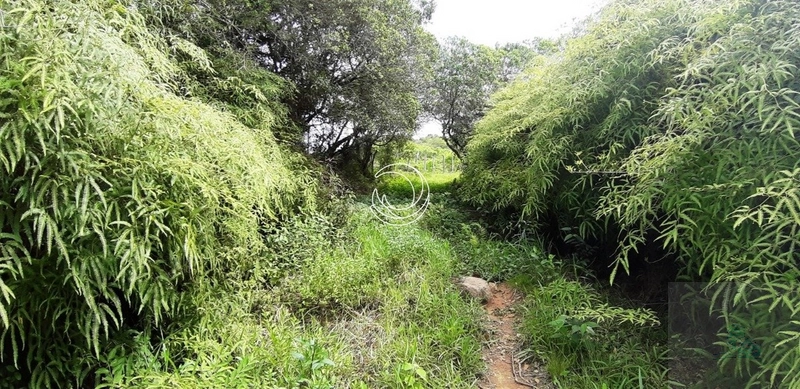 Terreno à venda em Santo Antônio De Lisboa, Florianópolis: 16ª foto da galeria de imagens do imóvel