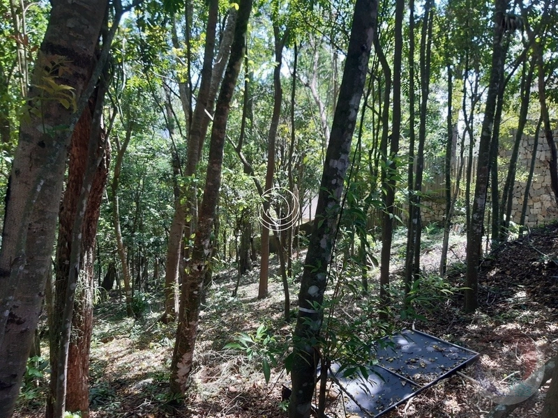 Terreno à venda em Florianópolis - Lagoa Da Conceição: 2ª foto da galeria de imagens do imóvel