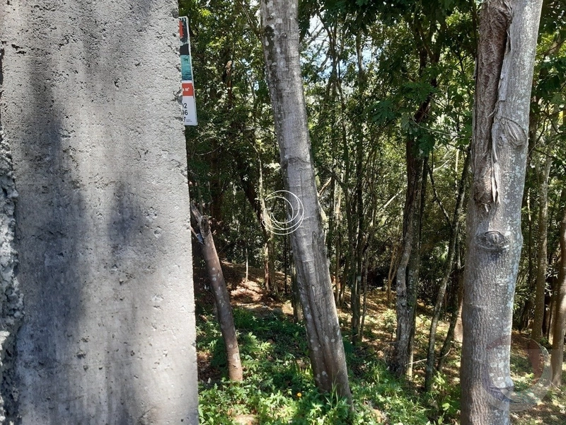 Terreno à venda em Florianópolis - Lagoa Da Conceição: 17ª foto da galeria de imagens do imóvel