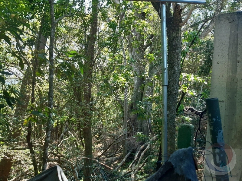 Terreno à venda em Florianópolis - Lagoa Da Conceição: 4ª foto da galeria de imagens do imóvel