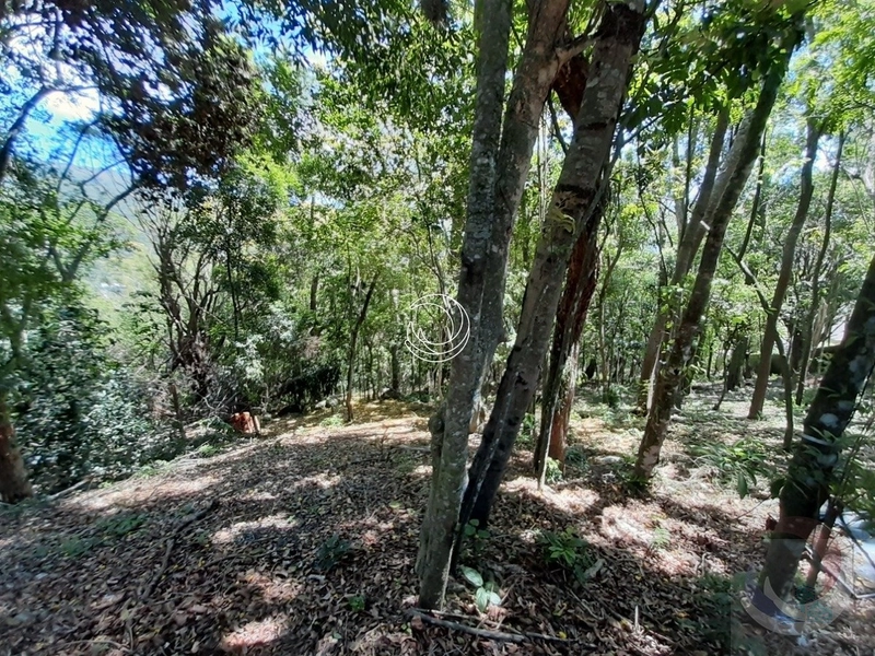 Terreno à venda em Florianópolis - Lagoa Da Conceição: 1ª foto da galeria de imagens do imóvel