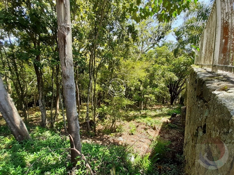 Terreno à venda em Florianópolis - Lagoa Da Conceição: 10ª foto da galeria de imagens do imóvel
