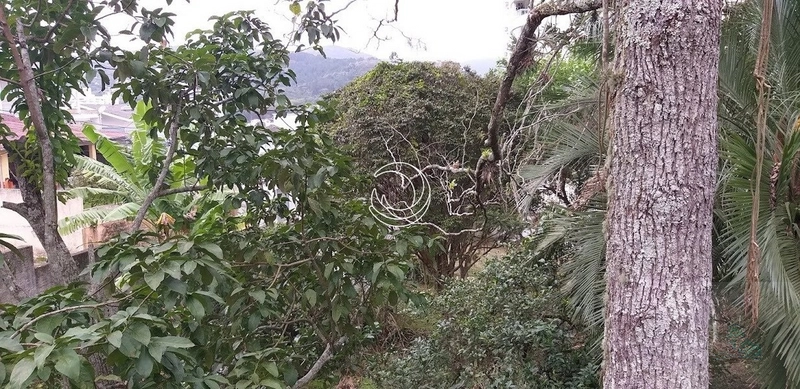 Terreno à venda em Itacorubi, Florianópolis: 13ª foto da galeria de imagens do imóvel