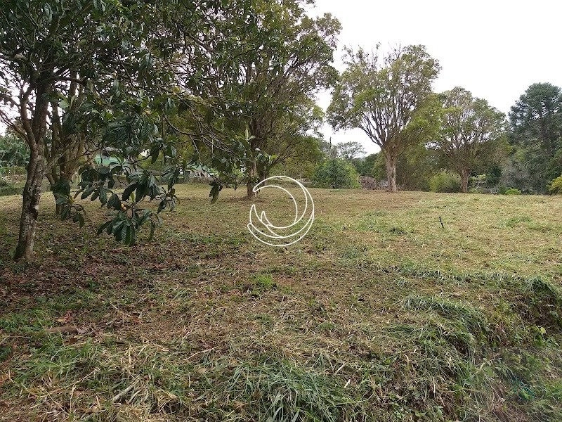Terreno à venda em Itacorubi, Florianópolis: 21ª foto da galeria de imagens do imóvel