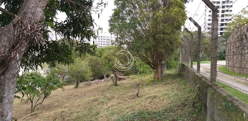 Terreno à venda em Itacorubi, Florianópolis: 7ª foto da galeria de imagens do imóvel