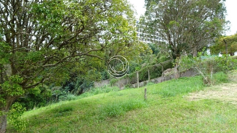 Terreno à venda em Itacorubi, Florianópolis: 1ª foto da galeria de imagens do imóvel