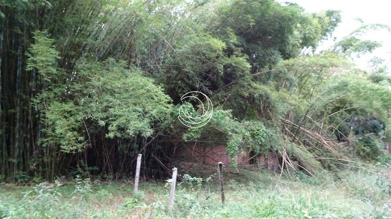 Terreno à venda em Itacorubi, Florianópolis: 5ª foto da galeria de imagens do imóvel
