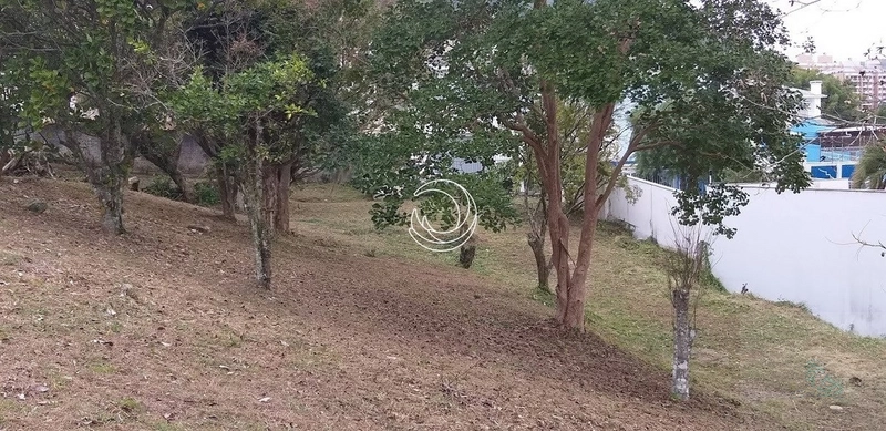 Terreno à venda em Itacorubi, Florianópolis: 16ª foto da galeria de imagens do imóvel