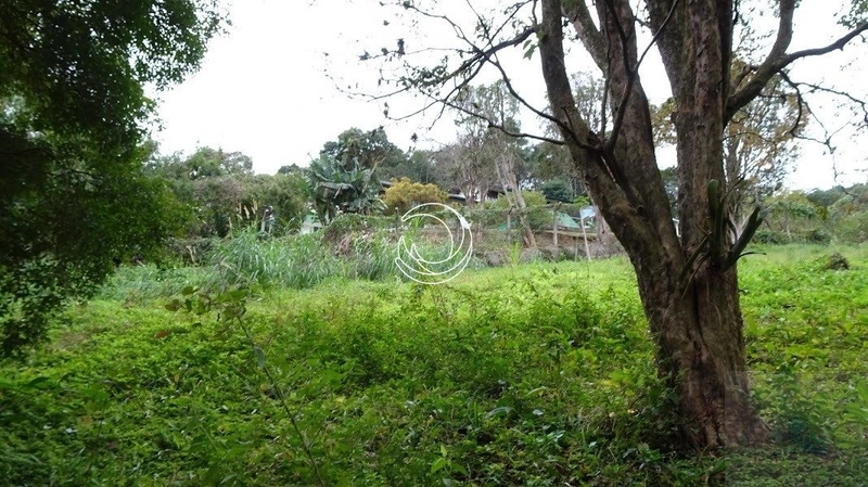Terreno à venda em Itacorubi, Florianópolis: 4ª foto da galeria de imagens do imóvel