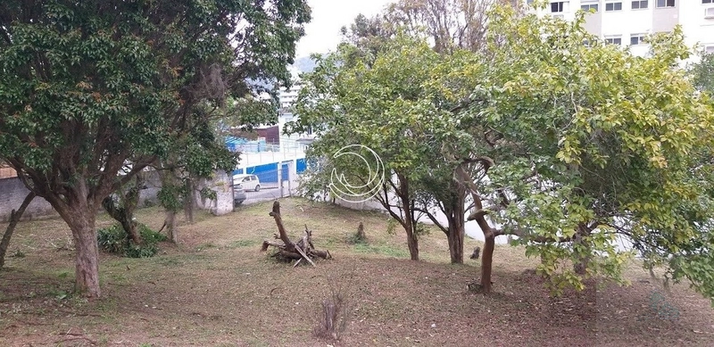 Terreno à venda em Itacorubi, Florianópolis: 11ª foto da galeria de imagens do imóvel