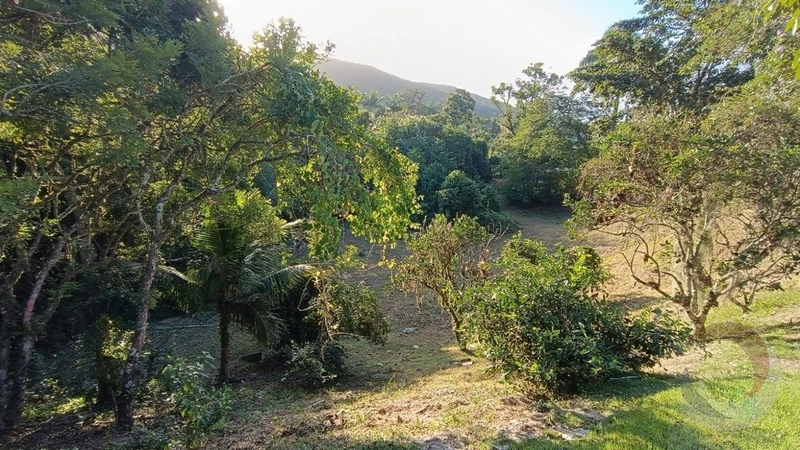 Terreno à venda em Ratones, Florianópolis: 11ª foto da galeria de imagens do imóvel