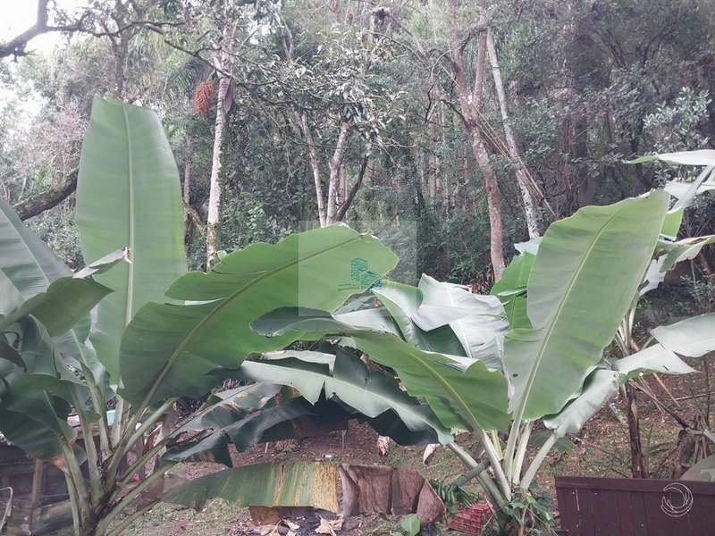 Terreno à venda em Florianópolis: 13ª foto da galeria de imagens do imóvel