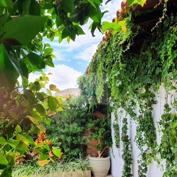 Casa à venda em Canasvieiras, Florianópolis - SC: 15ª foto da galeria de imagens do imóvel