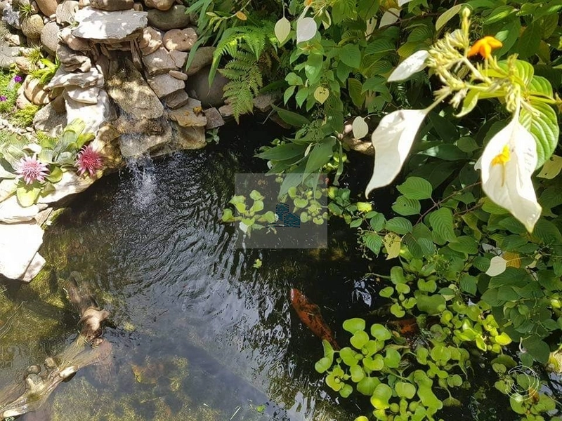 Casa à venda em Canasvieiras, Florianópolis - SC: 19ª foto da galeria de imagens do imóvel