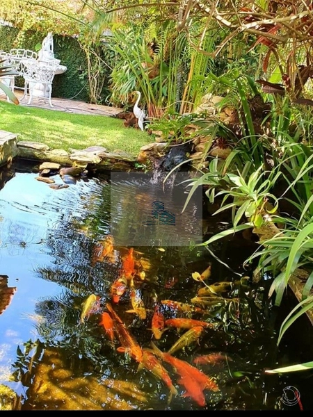 Casa à venda em Canasvieiras, Florianópolis - SC: 17ª foto da galeria de imagens do imóvel