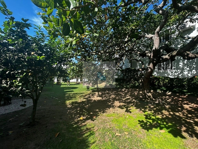 Casa à venda em Florianópolis, Bairro Trindade: 14ª foto da galeria de imagens do imóvel