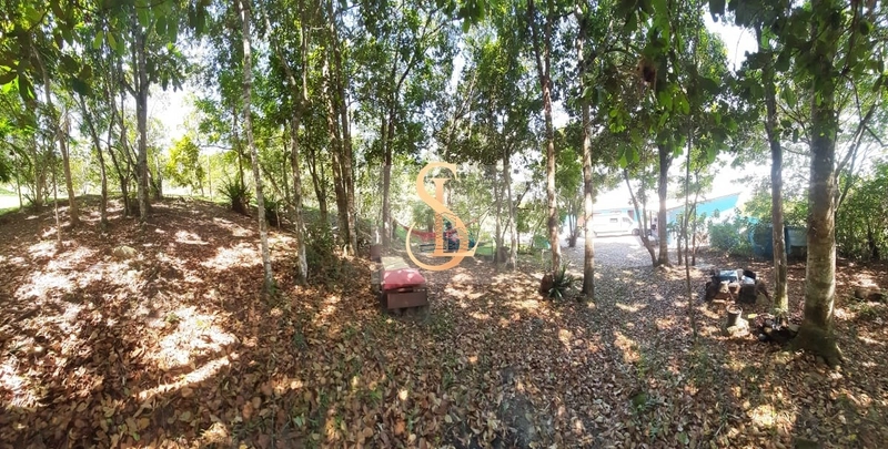 Belíssima Chácara na Vargem Pequena - Florianópolis: 7ª foto da galeria de imagens do imóvel
