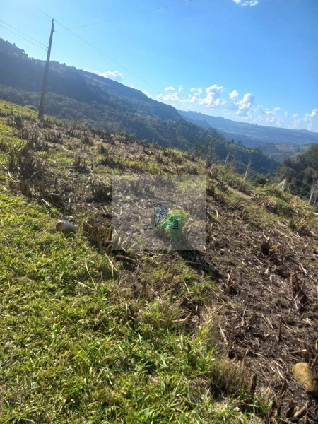 Sítio/Fazenda de 130000m² no bairro São João: 27ª foto da galeria de imagens do imóvel