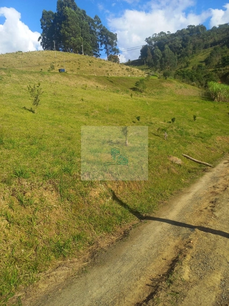 Sítio/Fazenda de 130000m² no bairro São João: 26ª foto da galeria de imagens do imóvel