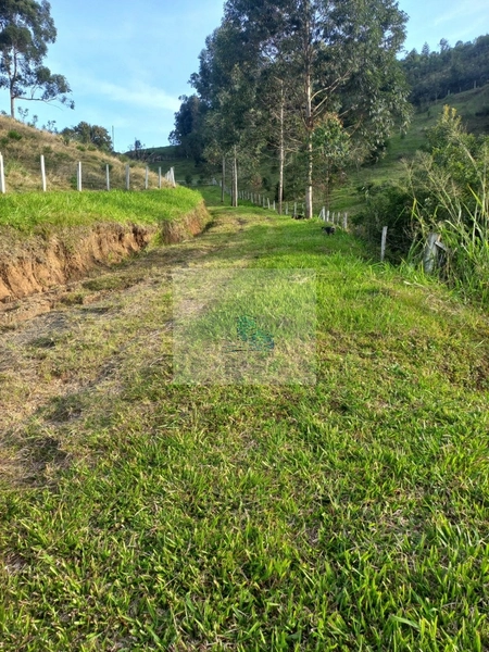 Sítio/Fazenda de 130000m² no bairro São João: 22ª foto da galeria de imagens do imóvel