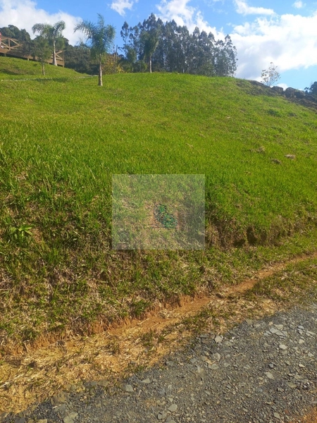Sítio/Fazenda de 130000m² no bairro São João: 15ª foto da galeria de imagens do imóvel