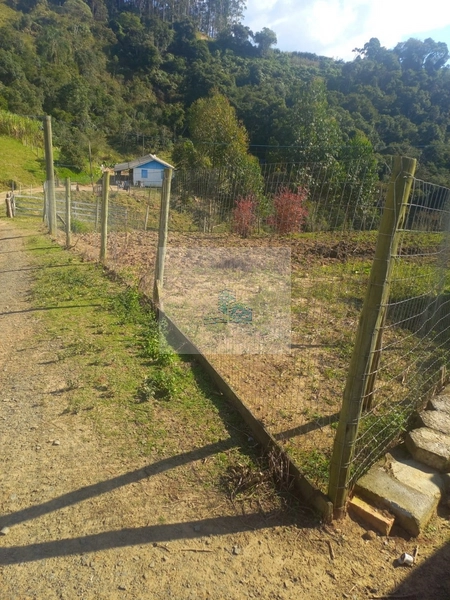 Sítio/Fazenda de 130000m² no bairro São João: 23ª foto da galeria de imagens do imóvel