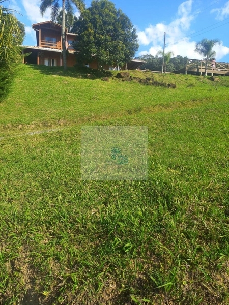 Sítio/Fazenda de 130000m² no bairro São João: 16ª foto da galeria de imagens do imóvel