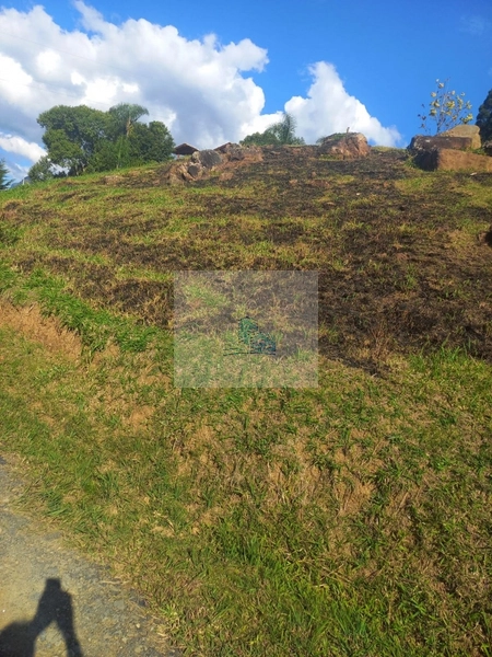Sítio/Fazenda de 130000m² no bairro São João: 24ª foto da galeria de imagens do imóvel
