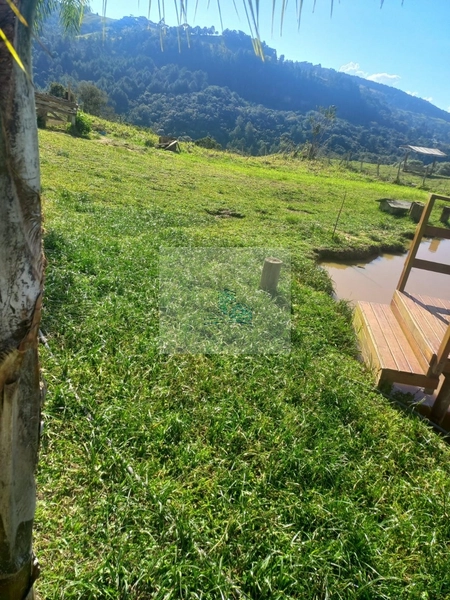 Sítio/Fazenda de 130000m² no bairro São João: 19ª foto da galeria de imagens do imóvel