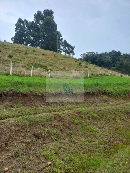 Sítio/Fazenda de 130000m² no bairro São João: 12ª foto da galeria de imagens do imóvel