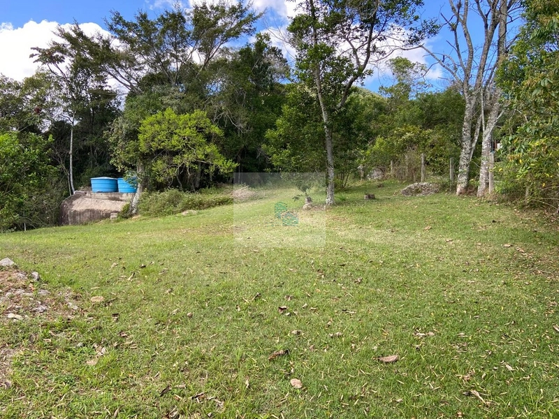 Terreno a venda em Ratones ótimo para turismo rural: 15ª foto da galeria de imagens do imóvel