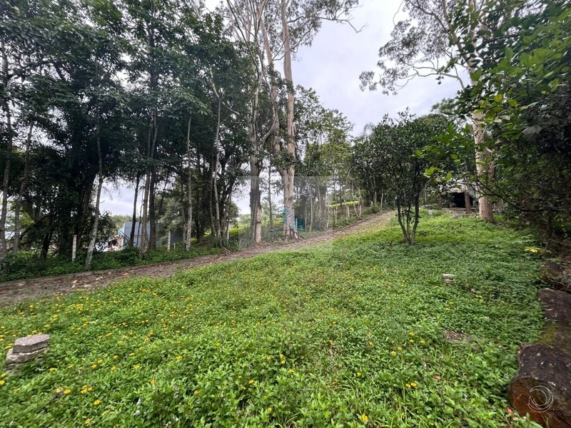 Terreno com 3.602,38m² em Cacupé: 2ª foto da galeria de imagens do imóvel