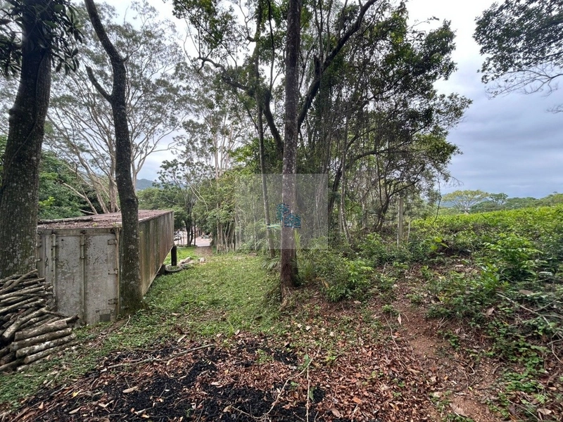 Terreno com 3.602,38m² em Cacupé: 6ª foto da galeria de imagens do imóvel
