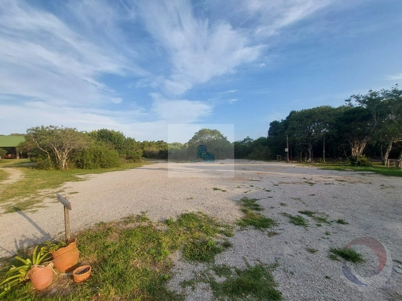 Terreno de 24364m² no bairro Rio Tavares: 9ª foto da galeria de imagens do imóvel