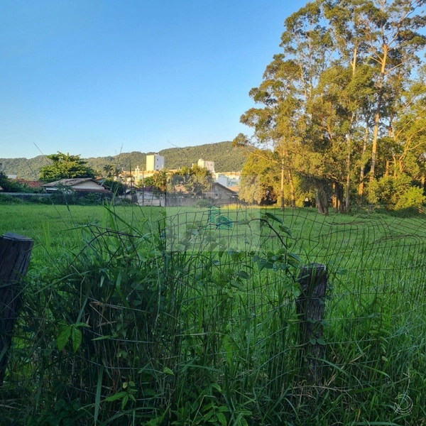 Terreno de 7.610,74m² na Cachoeira do Bom Jesus: 1ª foto da galeria de imagens do imóvel