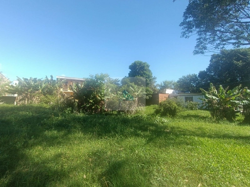 Terreno de 35100m² no bairro Cachoeira Do Bom Jesus: 8ª foto da galeria de imagens do imóvel