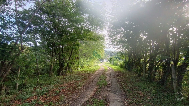 Terreno de 35100m² no bairro Cachoeira Do Bom Jesus: 11ª foto da galeria de imagens do imóvel