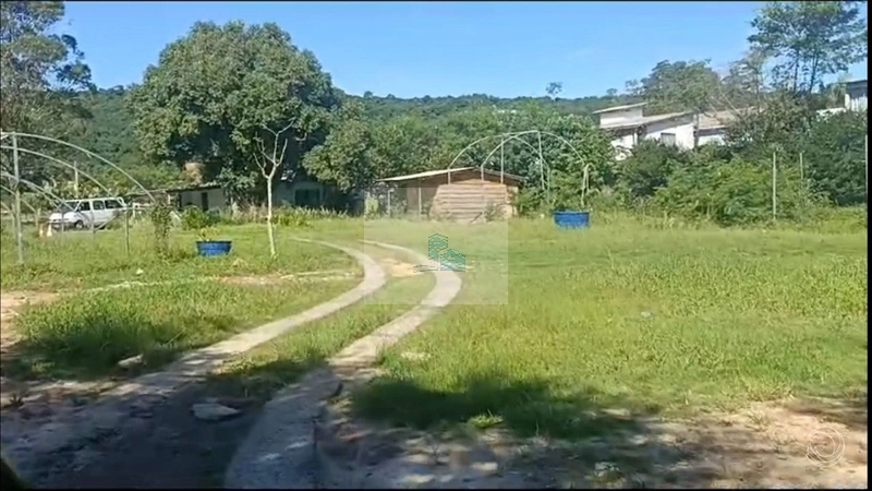 Terreno de 35100m² no bairro Cachoeira Do Bom Jesus: 10ª foto da galeria de imagens do imóvel