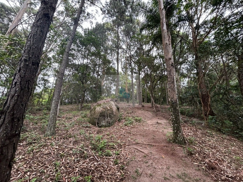 Terreno com 11.063,69 de área total em Cacupé: 11ª foto da galeria de imagens do imóvel