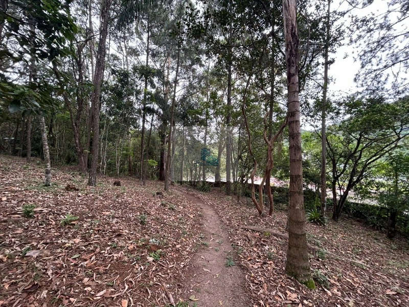 Terreno com 11.063,69 de área total em Cacupé: 13ª foto da galeria de imagens do imóvel