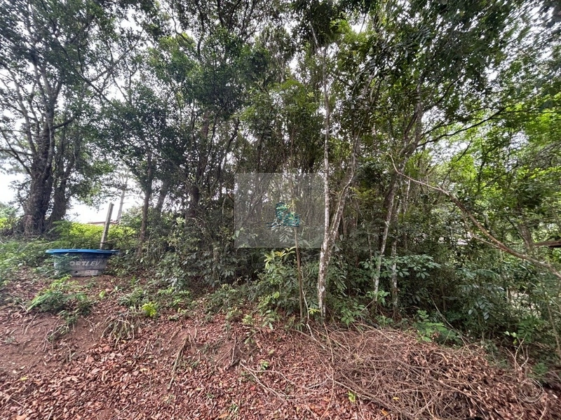 Terreno com 11.063,69 de área total em Cacupé: 5ª foto da galeria de imagens do imóvel