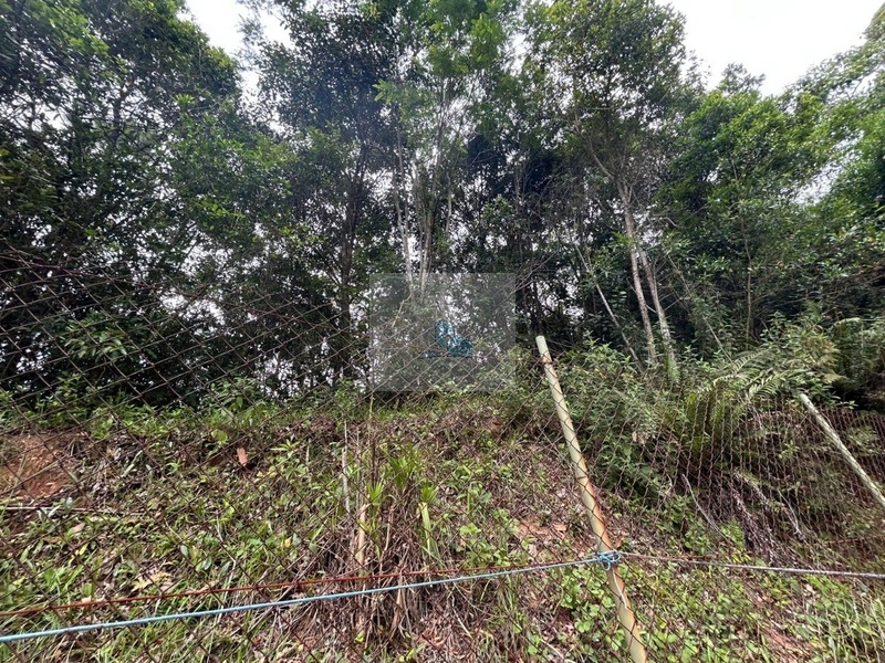 Terreno com 11.063,69 de área total em Cacupé: 6ª foto da galeria de imagens do imóvel