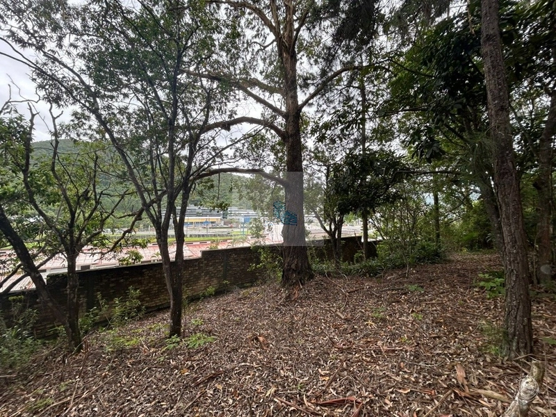 Terreno com 11.063,69 de área total em Cacupé: 12ª foto da galeria de imagens do imóvel